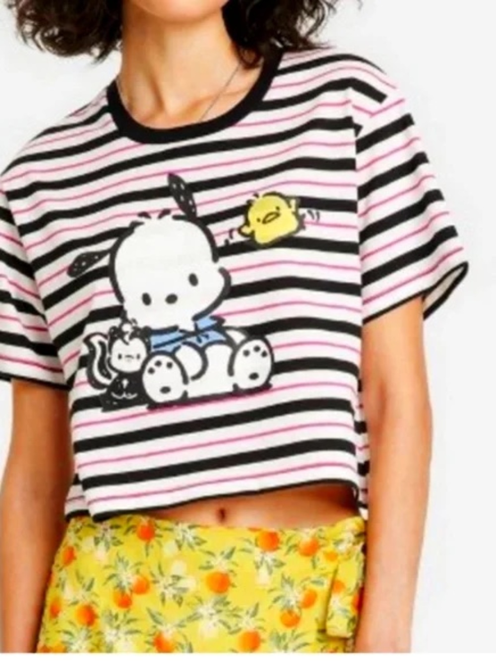 Sanrio Pink, Black & White Striped Character Crop Tee